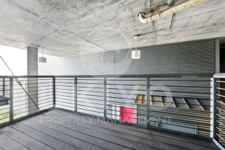 311 Oak Street #515