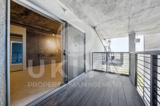 311 Oak Street #515