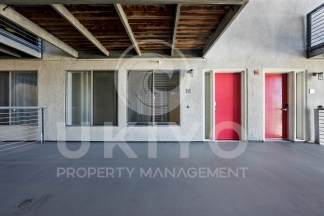 311 Oak Street #515
