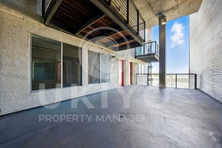 311 Oak Street #515
