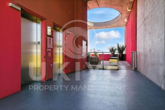 311 Oak Street #515