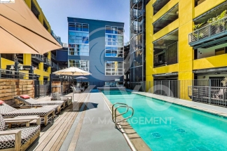 311 Oak Street #515