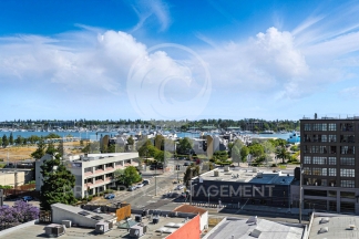 311 Oak Street #515