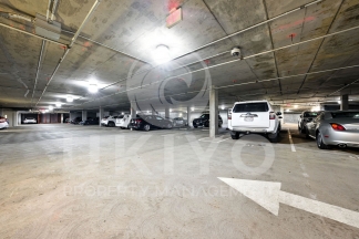 311 Oak Street #515
