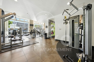 311 Oak Street #515