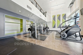 311 Oak Street #515