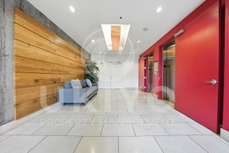 311 Oak Street #515