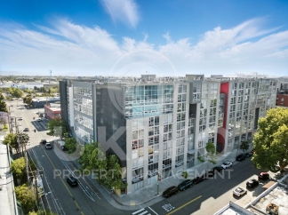 311 Oak Street #515