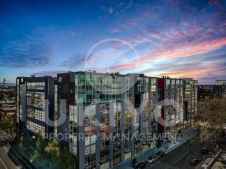 311 Oak Street #515