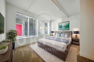311 Oak Street #515