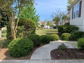 Pond Lot in Seaside Farms!