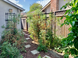 Cute Single Level Home in Great Neighborhood