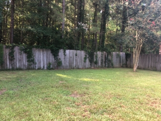 Single story ranch with 2 car attached garage in Indian Springs