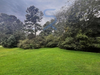 Move in before November 15th and choose your reward: a $250 Amazon Gift Card or a 55 Smart TV!