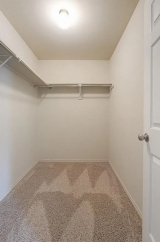 3 Bed, 2 Bath home nestled in the highly sought-after Timbers Addition!