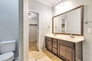 4505 Chestnut Meadows Bend - Orange Team