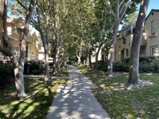 Stunning Remodeled Top-Level Condo in Crescendo at River Oaks!!!