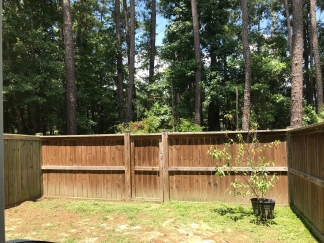 Townhouse with Fenced Backyard!