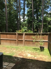 Townhouse with Fenced Backyard!