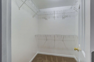 7856 High Maple Circle - Available now!