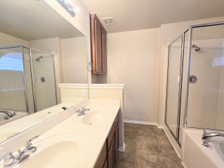 12239 Painted Daisy, San Antonio, TX, 78253