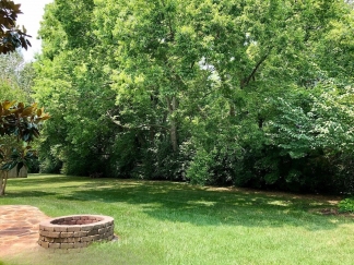 “Your Dream Home Awaits in the Heart of Franklin, TN