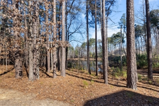 Stunning Home Has It All!