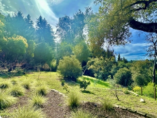 Redwood Glass Retreat