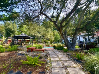 Redwood Glass Retreat