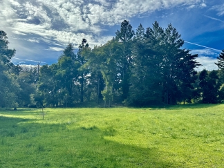 Redwood Glass Retreat