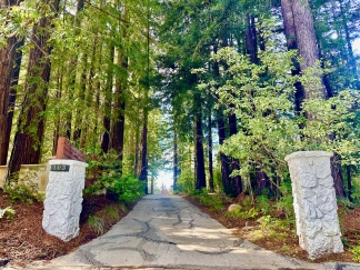 Redwood Glass Retreat