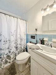 Bright and Renovated Near Downtown Royal Oak