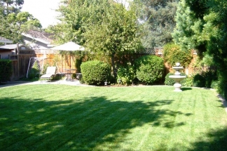 Newly Remodeled Los Gatos 3 Bedroom Home! Open Concept and Gorgeous!