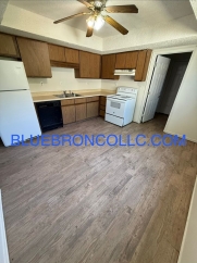 Updated 2-Bedroom Apartment in Raytown