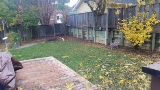Los Gatos Johnson Avenue 2 Bedroom Bungalow Available Now!