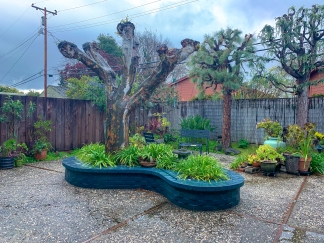 Custom Designed Modern 3 Bedroom Eicher in Palo Alto!