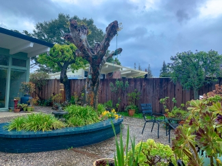 Custom Designed Modern 3 Bedroom Eicher in Palo Alto!