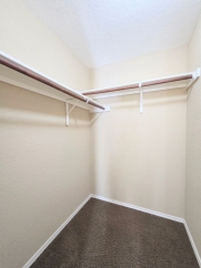 12058 Texana Cove, San Antonio, TX, 78253