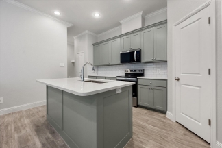 Brand New Luxury Townhouse in West Arlington