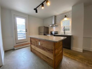 Charming Newly Renovated Down Stairs Apartment in the Heart of Downtown Winchester
