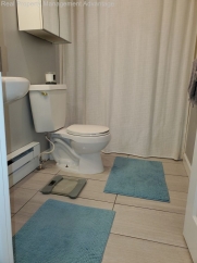 Contemporary Style with 2 Bedrooms and Vaulted Ceilings - Steps from Downtown Ferndale!