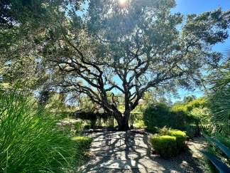Woodside Classic 3 Bedroom on Beautiful Park Like Yard
