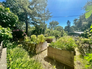 Woodside Classic 3 Bedroom on Beautiful Park Like Yard