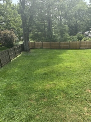 Sharpe - 238 Pond Drive