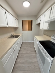 Golderg - 31 Revelle Street