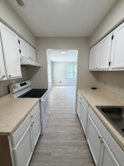 Golderg - 31 Revelle Street
