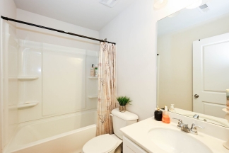 Unfurnished Townhome Wooded Backyard