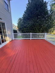 Park - 139 Belmont Drive