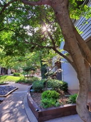 Fabulous Totally Updated Condo In Highly Desired Area ~ Down Stair Unit In Gated Community!!!