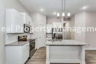 Gorgeous Town Home with fenced yard - pets welcome